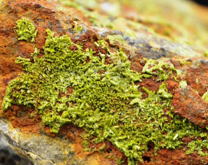 Pyromorphite 65 grams - Josephine Mine, Rützhausen, Velbert, Germany