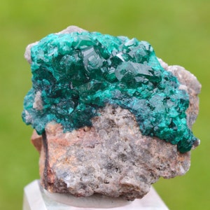 Dioptase 113 grams - Tantara Mine, Shinkolobwe, Kambove Territory, Haut-Katanga, DR Congo