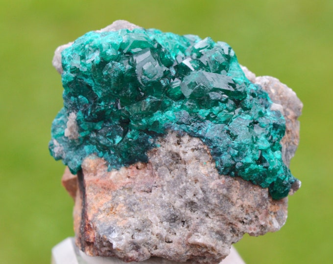 Dioptase 113 grams - Tantara Mine, Shinkolobwe, Kambove Territory, Haut-Katanga, DR Congo