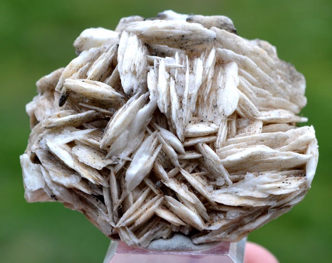 Baryte 161 grams - Saint-Laurent-le-Minier, Gard, Occitanie, France