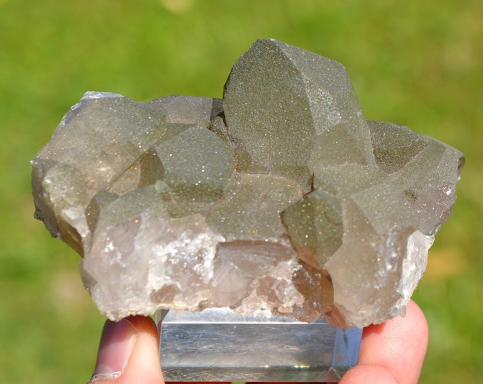 Smoky Quartz - 218 grams - Col de Talèfre, Mont Blanc Massif, Chamonix, Haute-Savoie, Auvergne-Rhône-Alpes, France