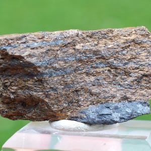 Peut inclure: Échantillon de roche texturée avec des bandes marron, grises et noires. La roche est présentée sur un support clair et incliné, sur un fond vert flou. La surface de la roche est inégale et présente des variations naturelles.