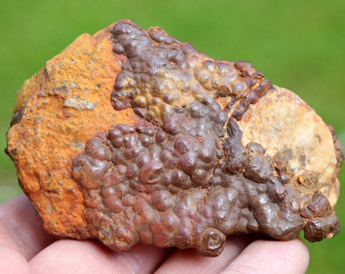 Hematite & Limonite on pebble 201 grams - Montpellier, Hérault, Occitanie, France