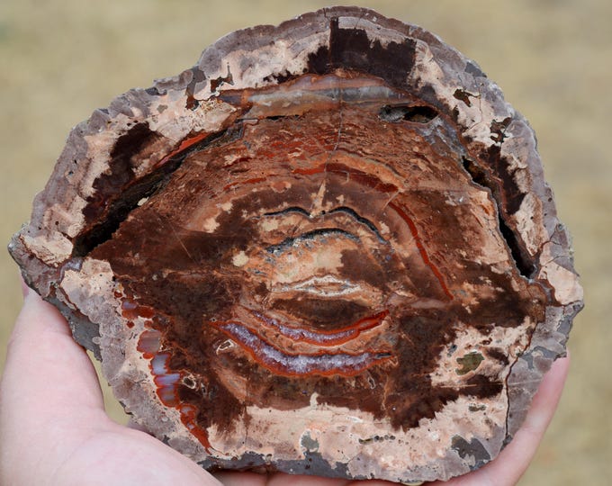 Chalcedony var. agate & Quartz "Lithophyse" 658 grams - Esterel Massif, Var, France