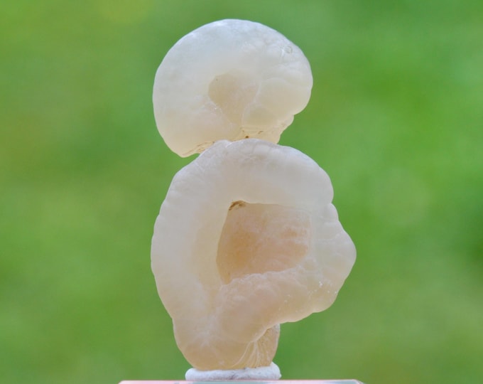 Guttular Chalcedony 9.6 grams - Aulon, Saint-Gaudens, Haute-Garonne, Occitanie, France