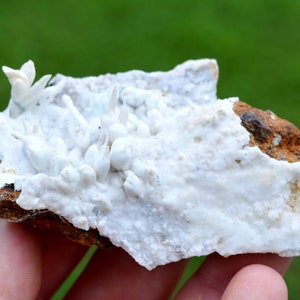 Aragonite &quot;Flos Ferri&quot; 81 grams - Green Fir Mine, Altenberg, Ste Marie-aux-Mines, Colmar-Ribeauvillé, Haut-Rhin, Alsace, France