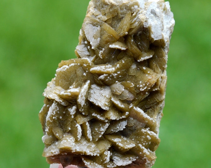 Siderite 80 grams - Le Burg Mine (Le Burc Mine), Paulinet, Albi, Tarn, Occitanie, France