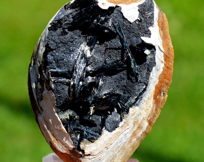 Vivianite & Fossil Shell 103 grams - Chernomorsky mine, Russia