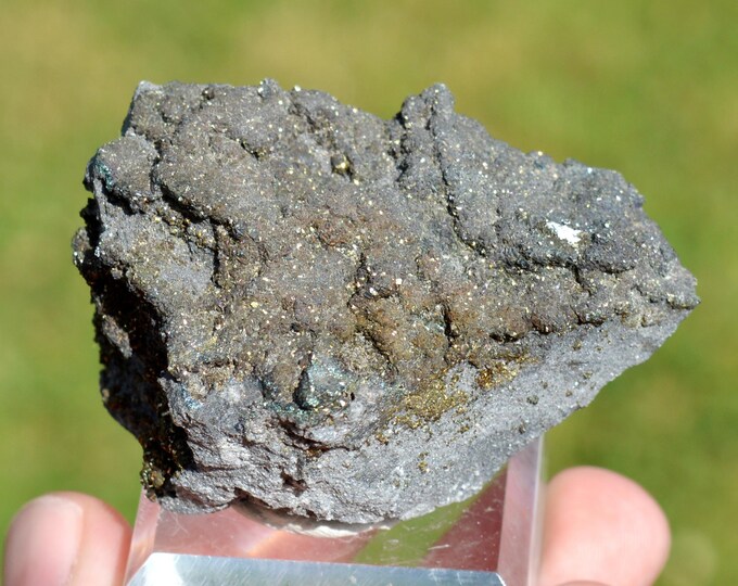 Marcasite 93 grams - Quarry cemetery, Seilles, Andenne, Namur, Wallonia, Belgium