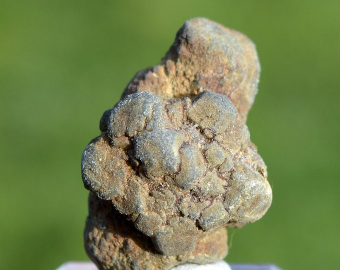 Marcasite and/or Pyrite 25 grams - Cap Blanc-Nez, Escalles, Calais, Pas-de-Calais, Hauts-de-France, France