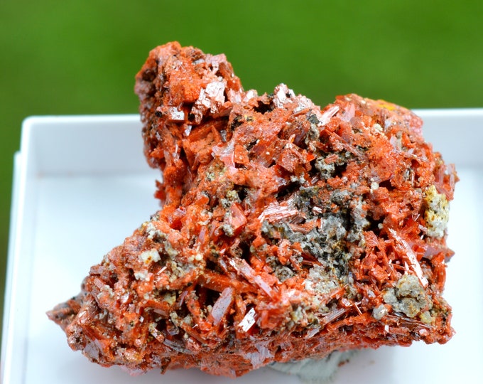 Crocoite 49 grams - Dundas mineral field, Zeehan District, West Coast municipality, Tasmania, Australia