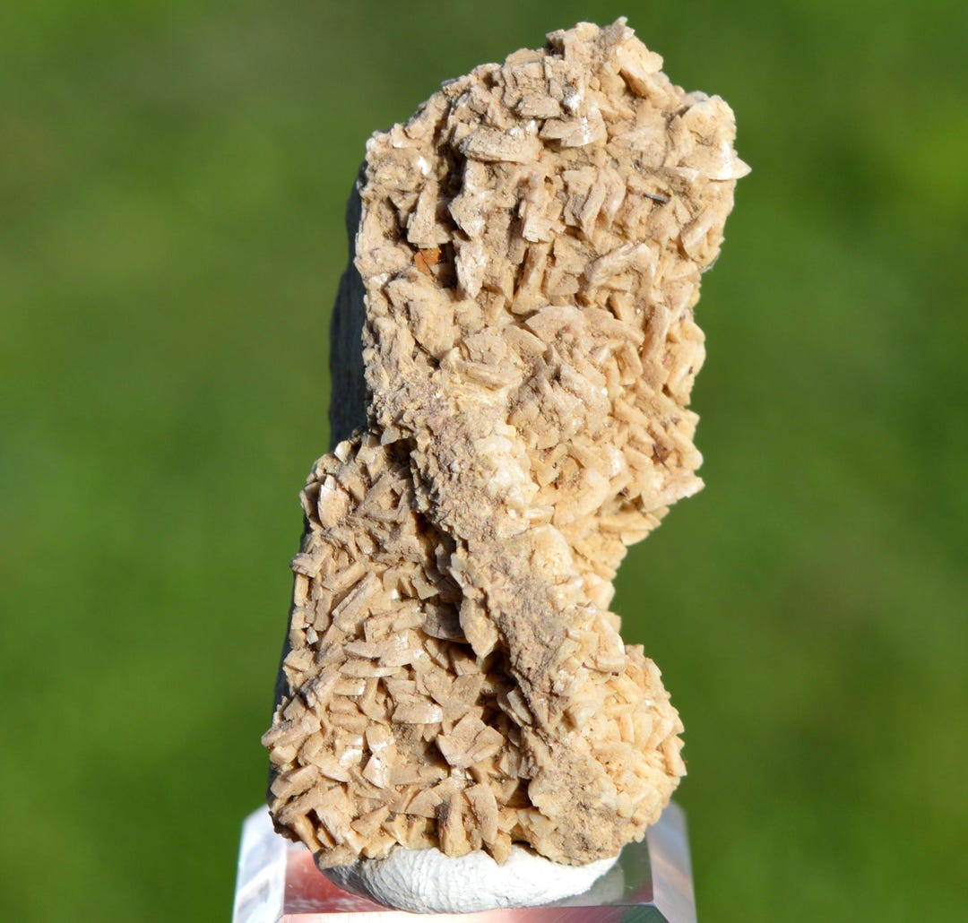Dolomite 39 Grams - Beez Quarry, Namur, Namur, Wallonia, Belgium - Etsy ...