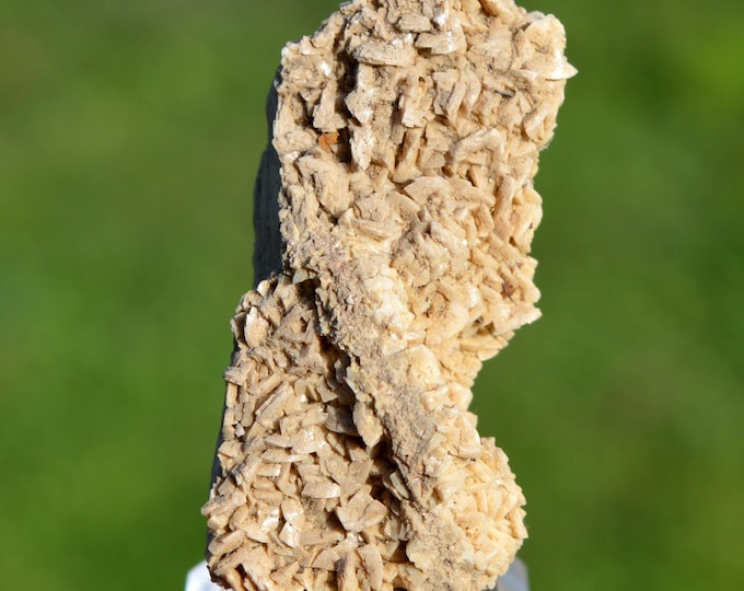 Dolomite 39 grams - Beez quarry, Namur, Namur, Wallonia, Belgium