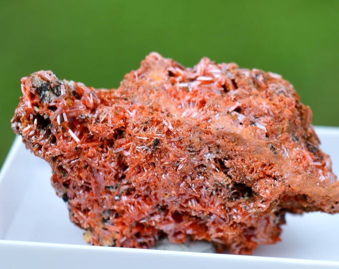 Crocoite 46 grams - Dundas mineral field, Zeehan District, West Coast municipality, Tasmania, Australia