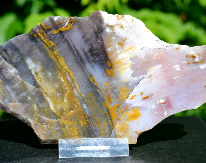 Slice - Fossil wood - 1 polished side - 205 grams - Arizona, USA