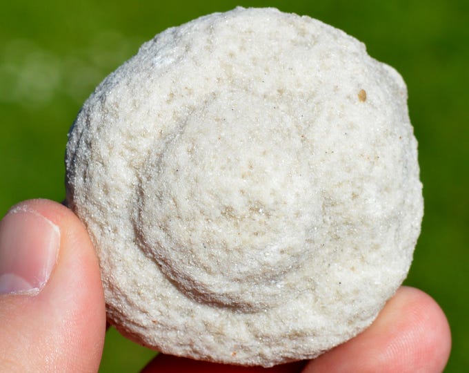 Calcite var. Sand-Calcite 152 grams - Fontainebleau, Seine-et-Marne, Ile-de-France, France