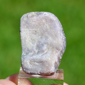 Könnte beinhalten: Ein helllila, unregelmäßig geformter Edelstein, möglicherweise ein Mineral, wird auf einem transparenten, rechteckigen Ständer präsentiert. Der Stein hat eine strukturierte Oberfläche und verschiedene Lila- und Grautöne. Der Hintergrund ist ein verschwommenes Grün.