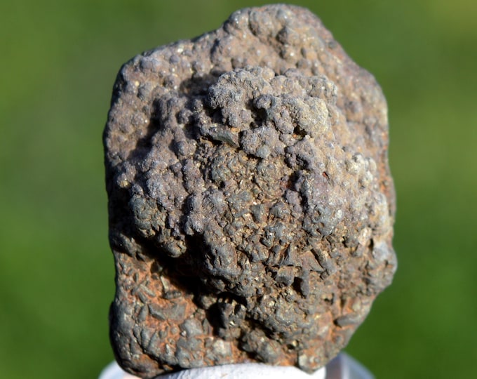 Marcasite and/or Pyrite 41 grams - Cap Blanc-Nez, Escalles, Calais, Pas-de-Calais, Hauts-de-France, France