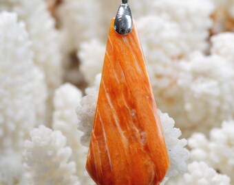 Spiny Oyster - Spondylus - 37 carats - natural shell cabochon pendant - Mexico / FR44