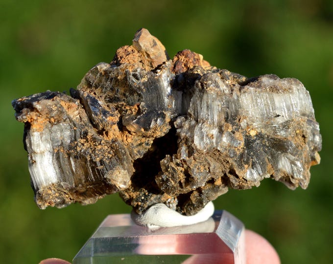 Gypsum 48 grams - Mailly-Champagne quarry, Verzenay, Reims, Marne, Grand Est, France