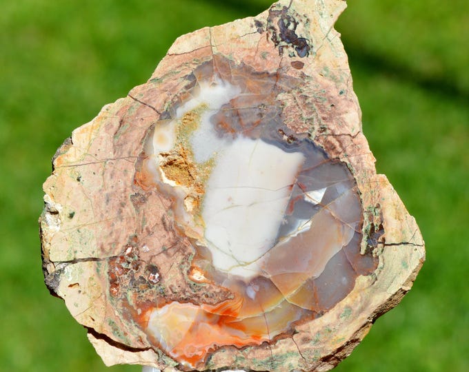 Chalcedony var. agate & Quartz "Lithophyse" 220 grams - Esterel Massif, Var, France
