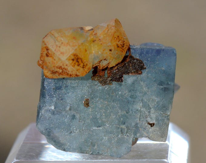 Fluorite 14 grams - El Hammam Mine, Ait Mimoune Caïdat, Khémisset, Morocco