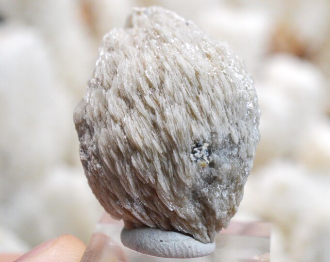 Baryte 38 grams - Le Buisson Mine, Montmirat, Saint-Étienne-du-Valdonnez, Mende, Lozère, Occitanie, France