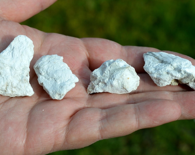 Magadiite x4 40 grams - Lake Magadi, Kajiado County, Kenya