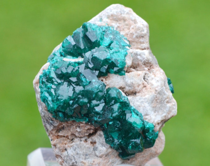 Dioptase 46 grams - Tantara Mine, Shinkolobwe, Kambove Territory, Haut-Katanga, DR Congo