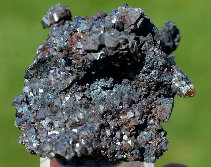 Magnetite & Fluorapatite 101 grams - Cerro de Mercado Mine, Victoria de Durango, Cerro de los Remedios, Durango, Mexico