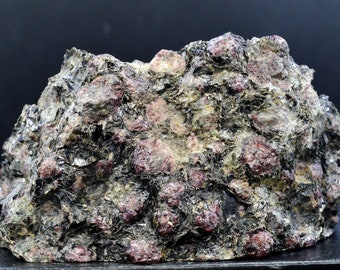 Almandine garnet & phlogopite biotite - 688 grams - Ponte Nova, Minas Gerais, Brazil