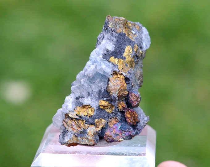 Chalcopyrite 44 grams - Mont-Roc Mine, Villefranche d'Albigeois, Tarn, Occitanie, France