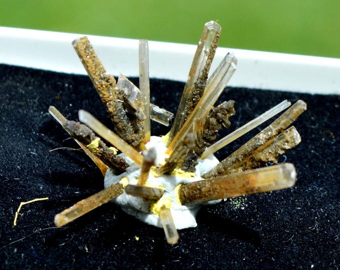 Neoformation gypsum - Rochefort, Charente-Maritime, New Aquitaine, France