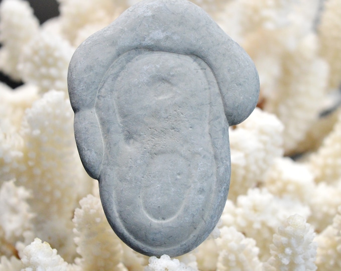 Fairy Stone - 46 grams - Harricana River, Quebec, Canada