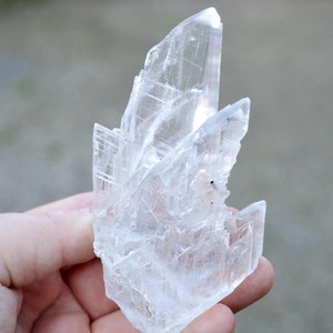 Gypsum 197 grams - Naica, Saucillo Municipality, Chihuahua, Mexico