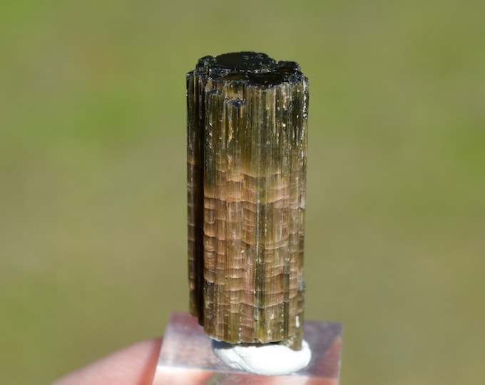 Tourmaline var. Elbaite "Watermelon" 10.5 grams - Cruzeiro mine, São José da Safira, Minas Gerais, Brazil