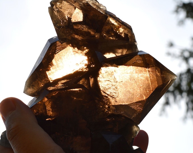 Smoky Quartz 1288 grams - Mont Blanc Massif, Auvergne-Rhône-Alpes, France