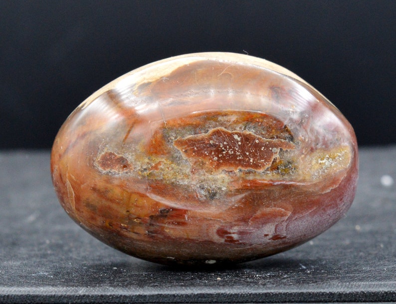 Pebble - Fossil wood - 55 grams - Madagascar Pebble - Fossil wood - 55 grams - Madagascar