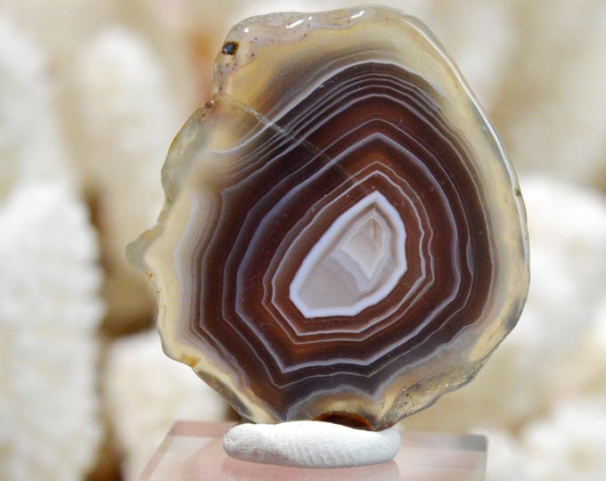 Agate 14 grams - Bobonong Subdistrict, Central District, Botswana - FT21