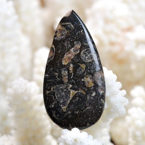 Agata Turitella 32 carati - pietra naturale cabochon - USA / EE95