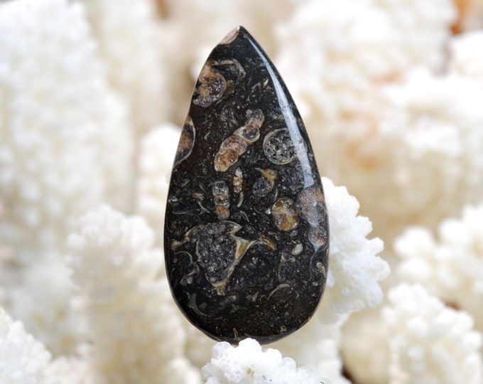 Turitella agate 32 carats - natural stone cabochon pendant - USA / EE95