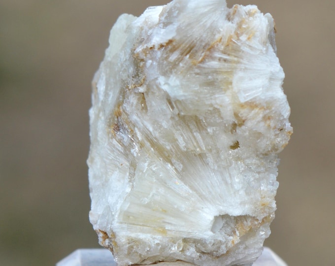 Aragonite 24 grams - Profunda Mine, Cármenes, León, Castile and Leon, Spain