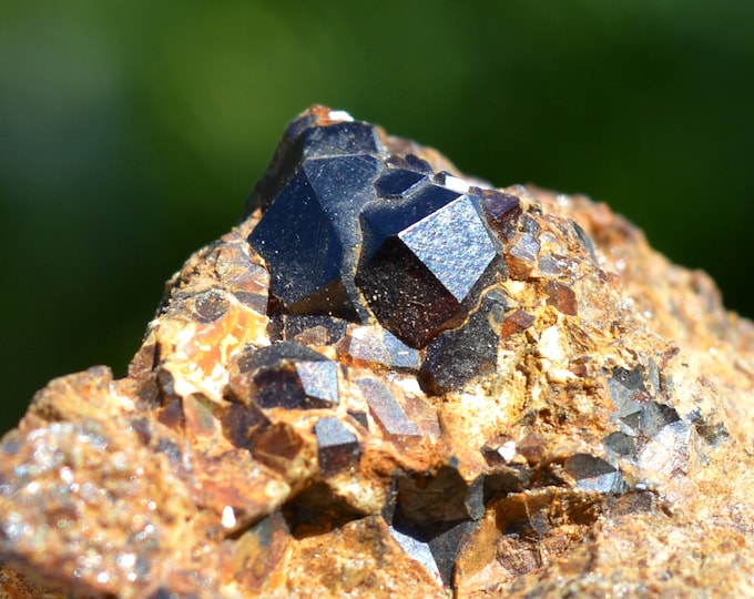 Andradite Garnet 78 grams - Cape Calamita Mine, Capoliveri, Livorno Province, Tuscany, Italy