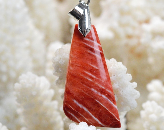 Spiny Oyster - Spondylus - 30 carats - natural shell cabochon pendant - Mexico / FR37