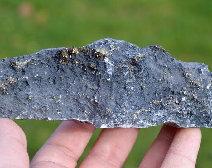 Pyrite 297 grams - Lompret quarry, Lompret, Chimay, Hainaut, Wallonia, Belgium