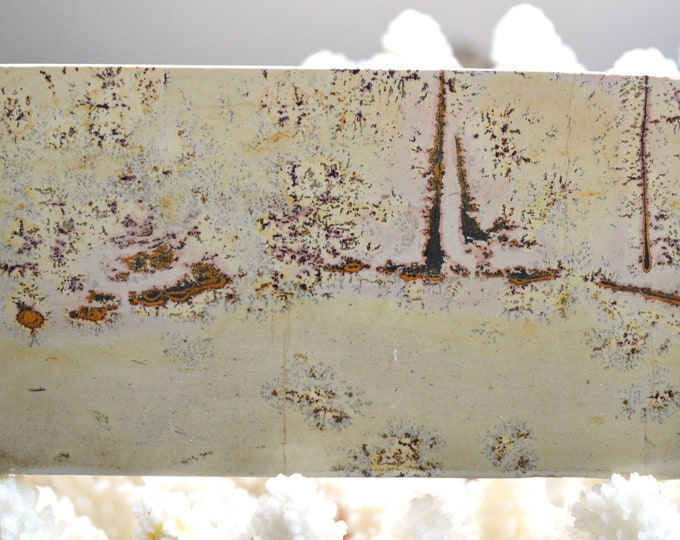 Polished Slice - Landscape Stone 123 mm - Guilin, Guangxi, China
