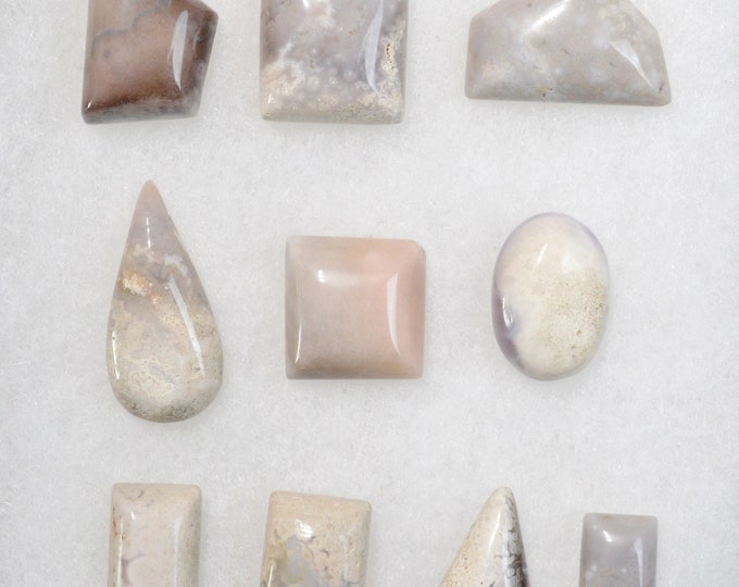 Lot x10 Agate Crazy Lace 274 carats - cabochon pierre naturelle - Mexique // BY56