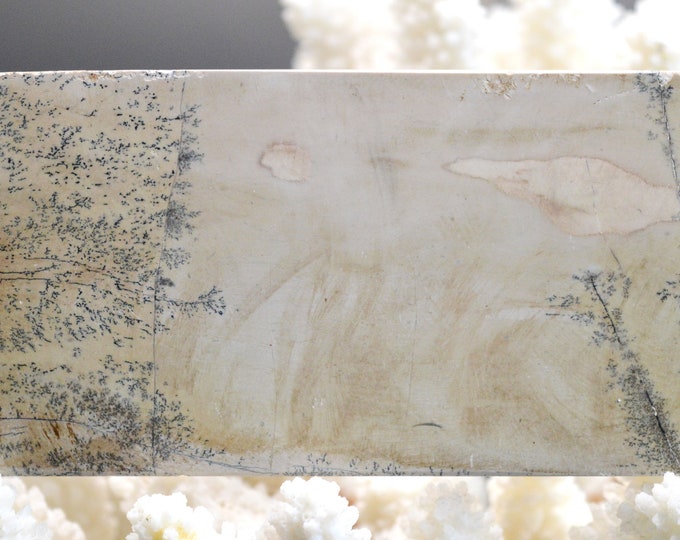 Polished Slice - Landscape Stone 117 mm - Guilin, Guangxi, China