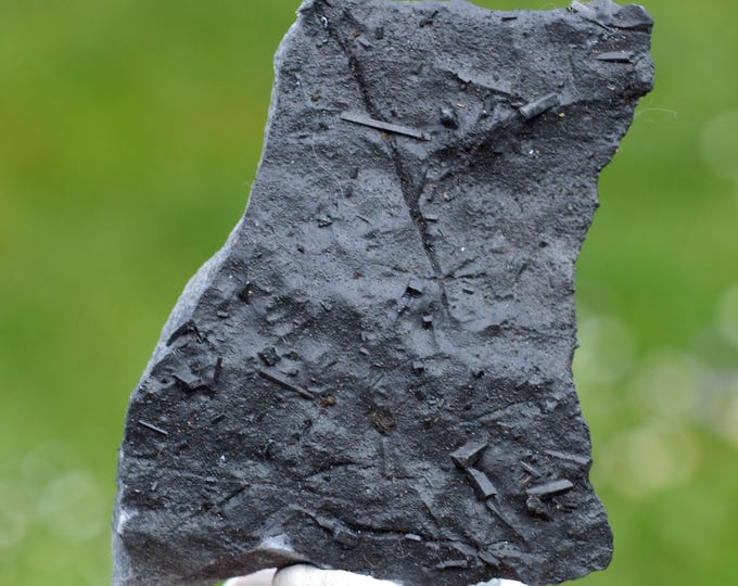 Marialite 32 grams - Val di Fa, Niardo, Brescia Province, Lombardy, Italy