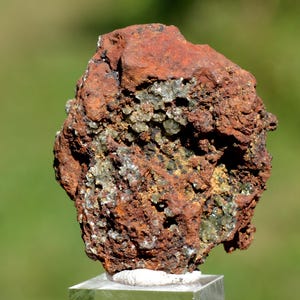 May include: A textured, reddish-brown mineral specimen with areas of lighter, crystalline formations and a few spots of green. The rock is displayed on a clear, square base against a blurred green background. The specimen has a rough surface.